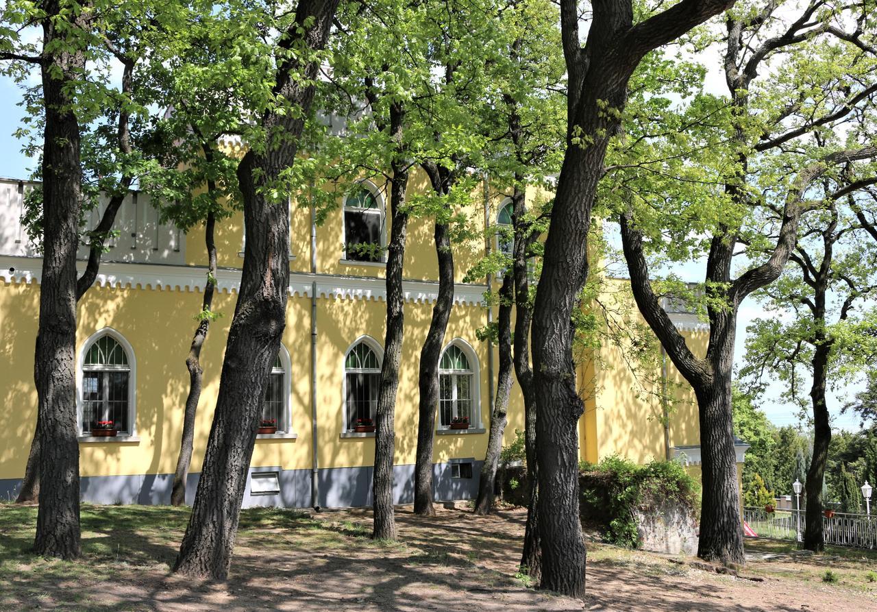 Sir David Balaton Castle Apartmanok Балатонсепезд Экстерьер фото